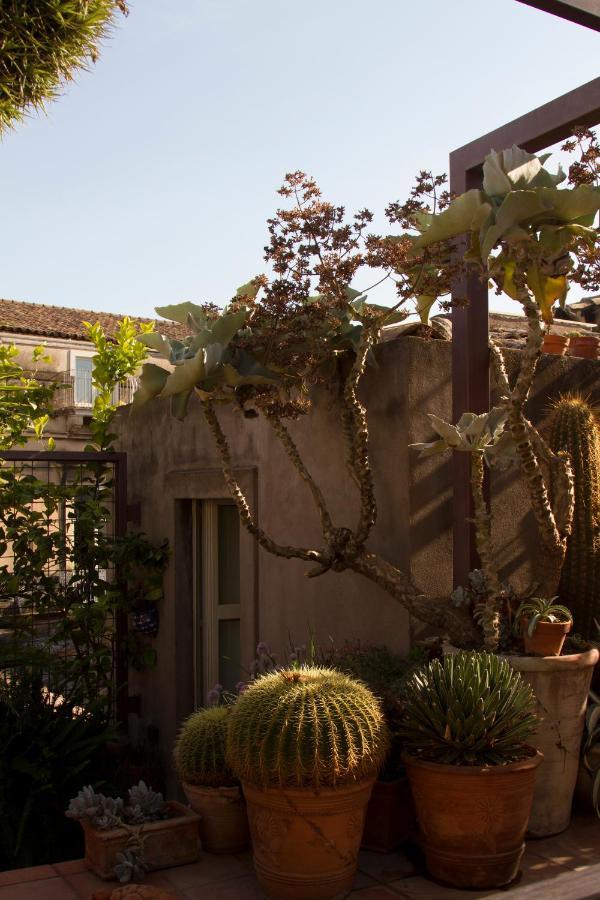 Tre Vie Apartment Con Terrazzo Giardino Pensile CTA Eksteriør bilde