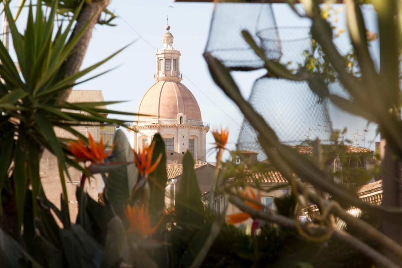 Tre Vie Apartment Con Terrazzo Giardino Pensile CTA Eksteriør bilde